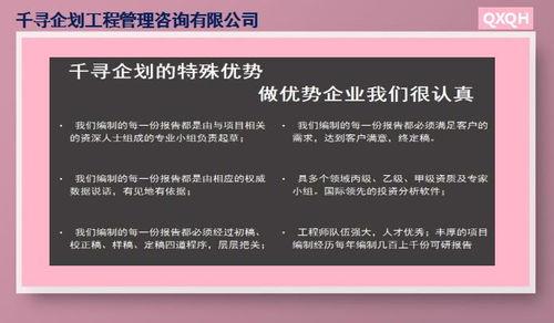 淮南千尋誠信絲苗米產(chǎn)業(yè)園項目立項報告 商業(yè)策劃創(chuàng)新服務(wù)